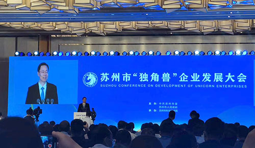 公司新闻